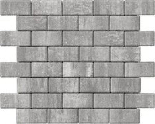 Бруківка 200х100х40 платина