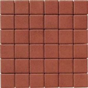 Бруківка 100х100х40 паприка брущадка